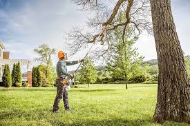 Reliable Greenup, KY Tree Services Solutions