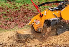 Best Storm Damage Tree Cleanup  in Greenup, KY