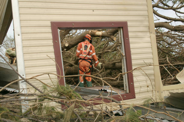 Best Tree Disease Treatment  in Greenup, KY