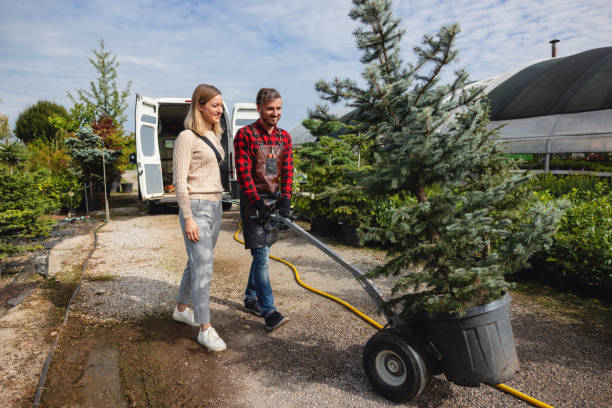 Best Artificial Turf Installation  in Greenup, KY